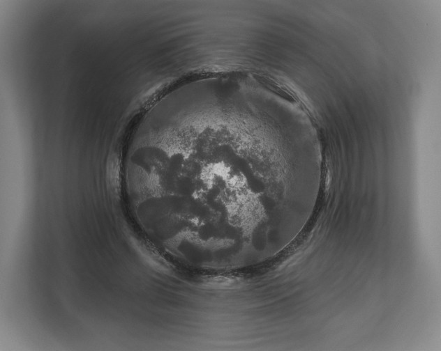 X0000111200542200907081244