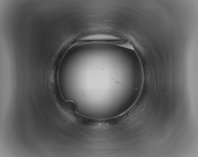 X0000111200543200907081244