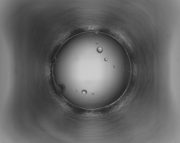 X0000111200545200907081244