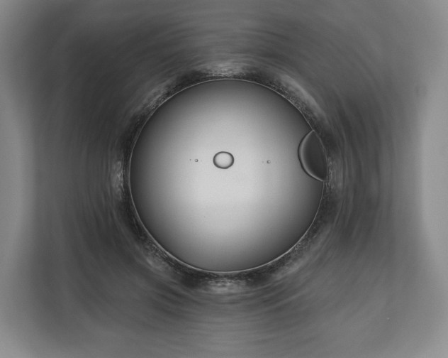 X0000111200549200907081244