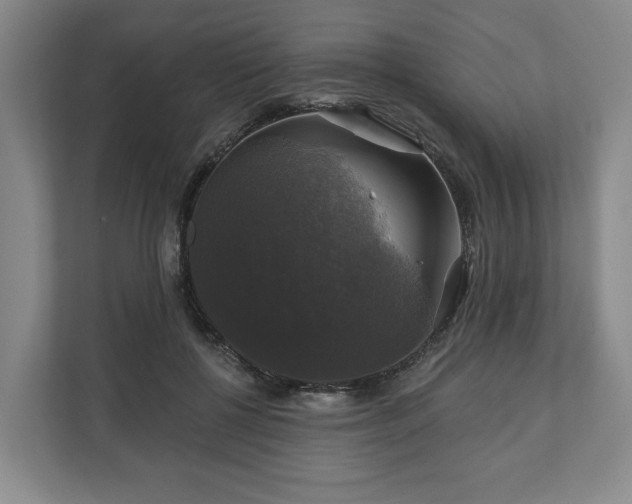 X0000111200552200907081244