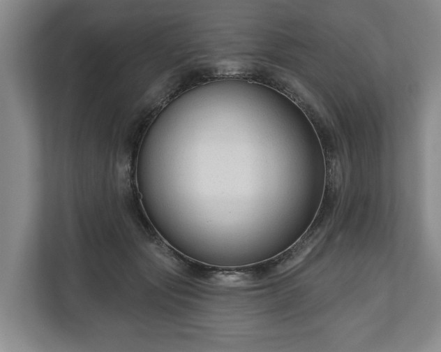 X0000111200557200907081244