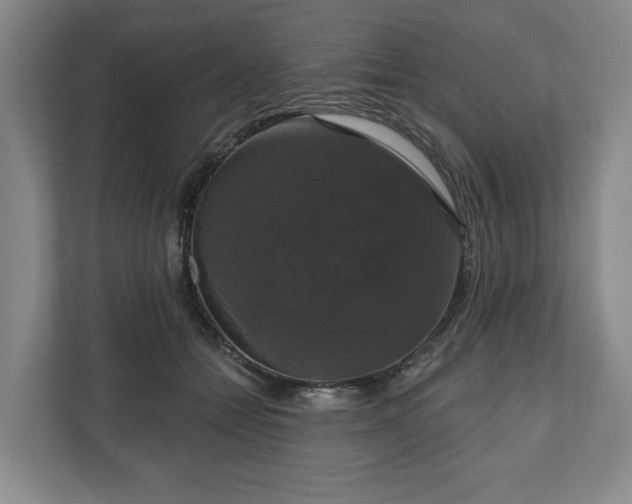 X0000111200558200907081244