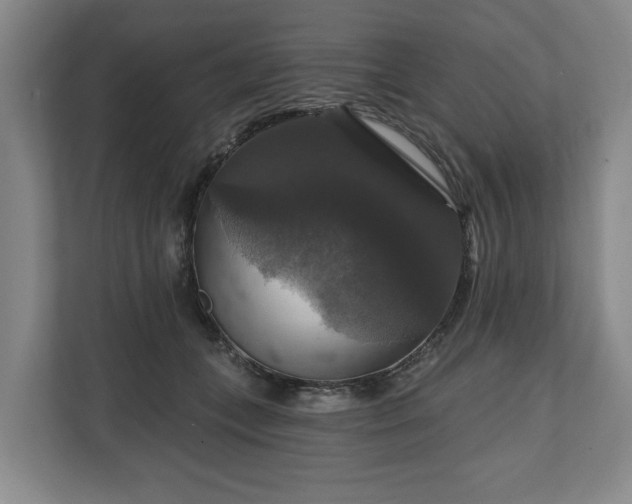 X0000111200559200907081244