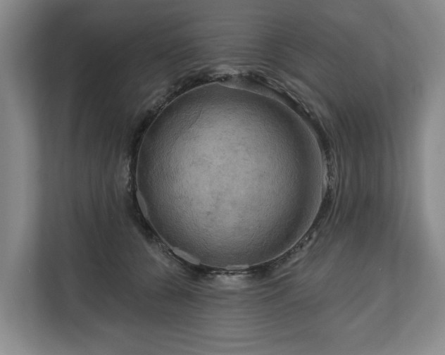 X0000111200560200907081244