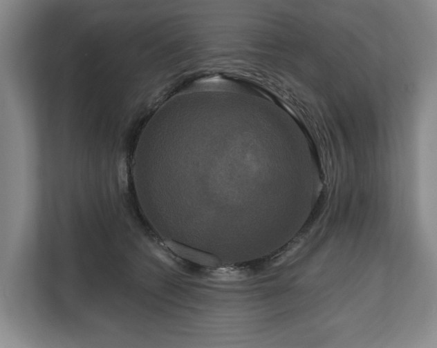 X0000111200562200907081244