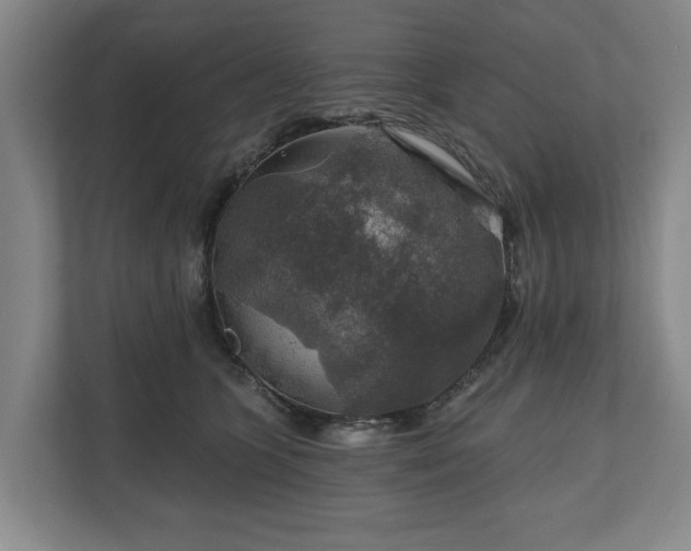 X0000111200563200907081244