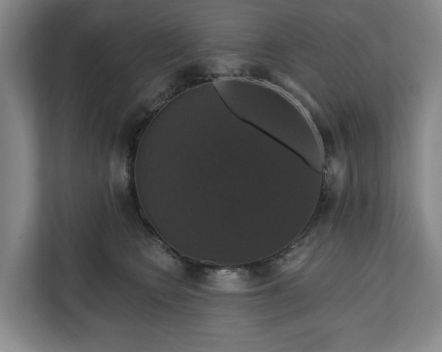 X0000111200566200907081244