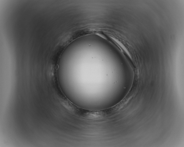 X0000111200567200907081244