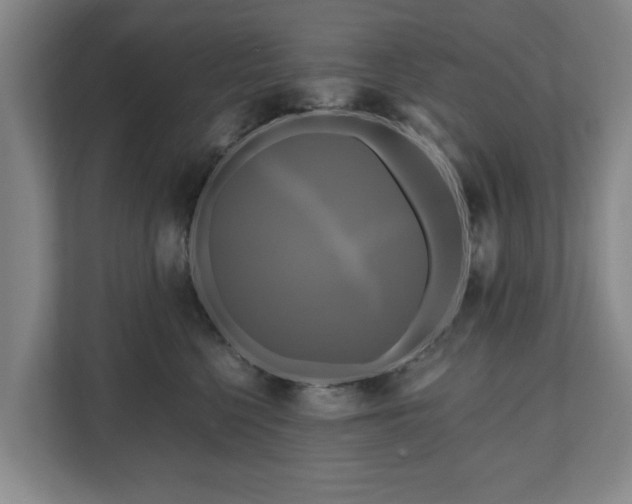 X0000111200568200907081244