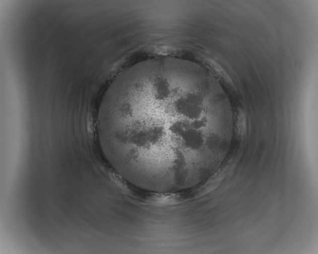 X0000111200569200907081244