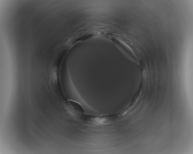 X0000111200570200907081244