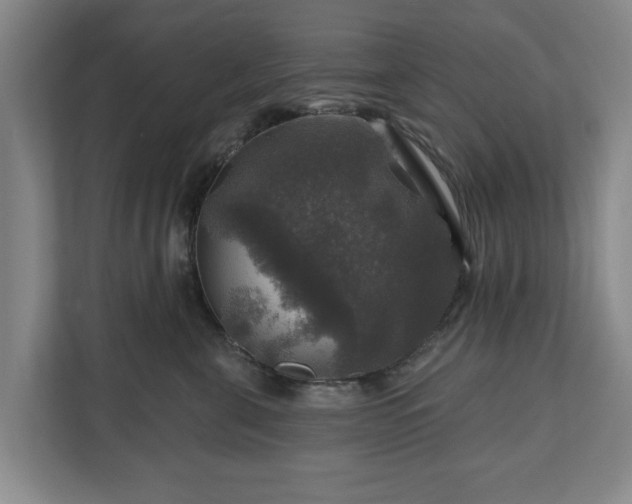 X0000111200571200907081244