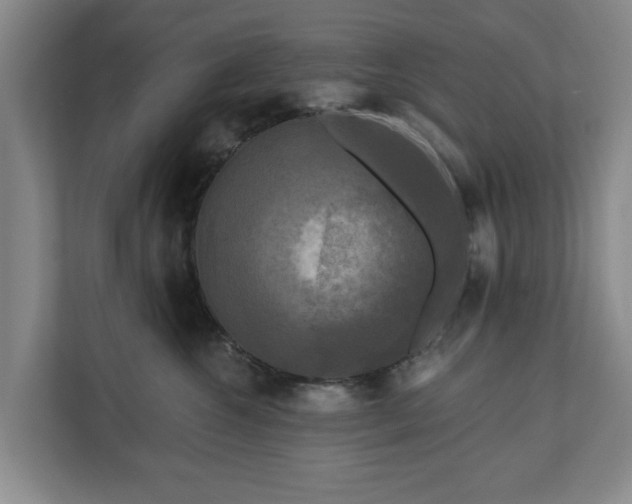 X0000111200572200907081244