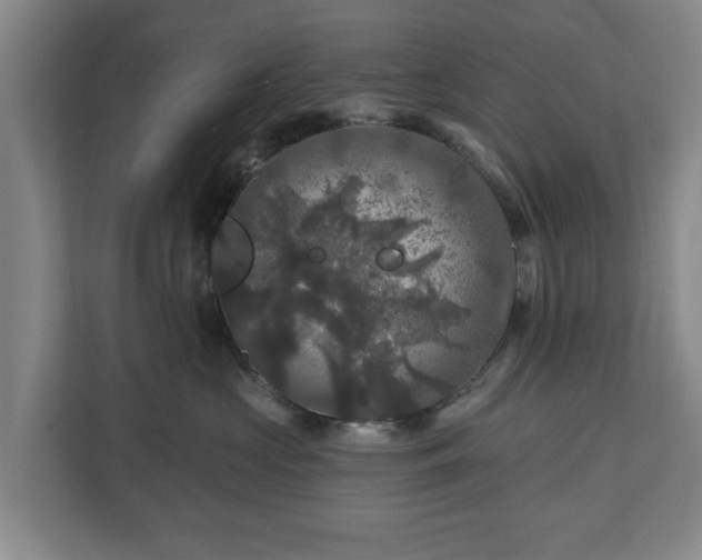 X0000111200573200907081244