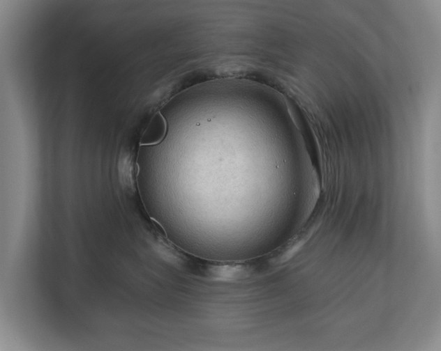 X0000111200575200907081244