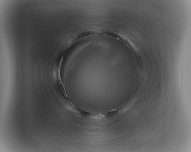 X0000111200576200907081244