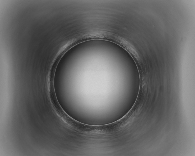 X0000111200578200907081243