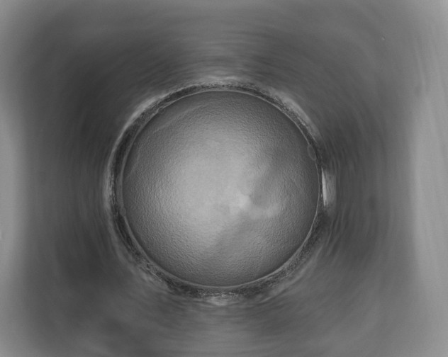 X0000111200579200907081243