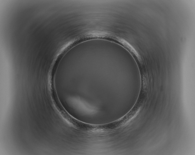 X0000111200581200907081243