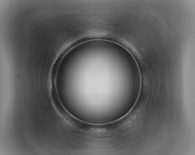 X0000111200582200907081243