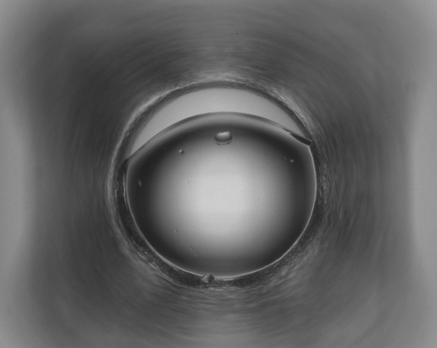 X0000111200583200907081243