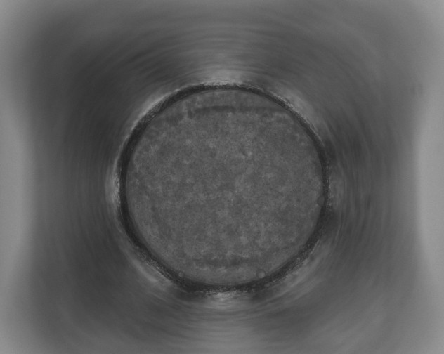 X0000111200584200907081243