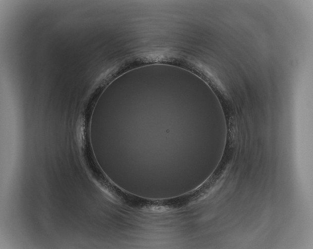 X0000111200590200907081243