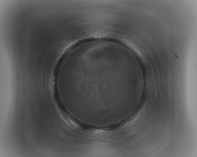 X0000111200592200907081243