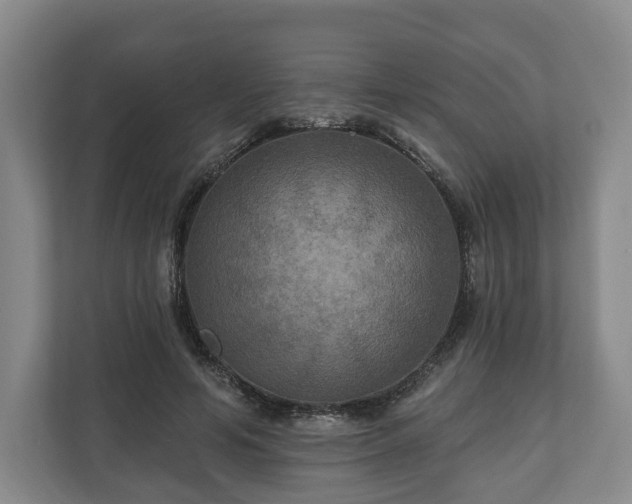 X0000111200594200907081243