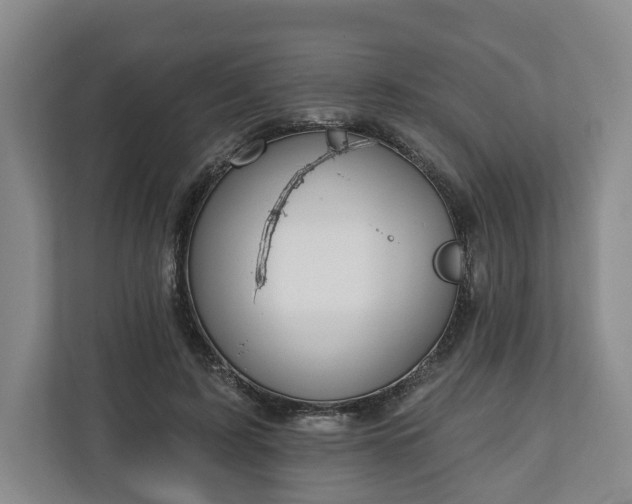 X0000111200595200907081243