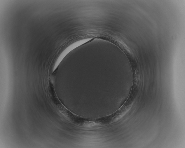 X0000111200597200907081243