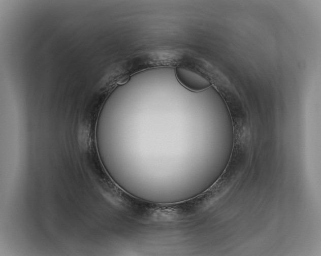 X0000111200599200907081243