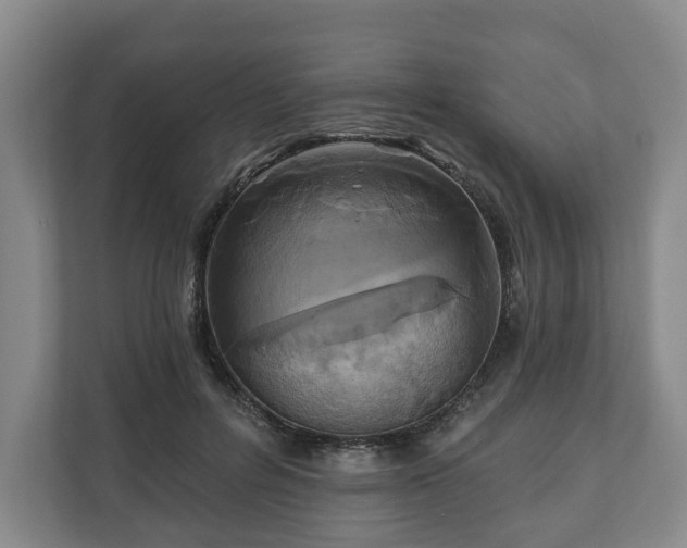 X0000111200600200907081243