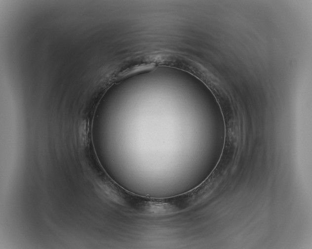 X0000111200605200907081243