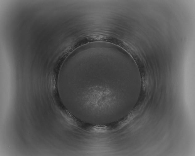 X0000111200606200907081243