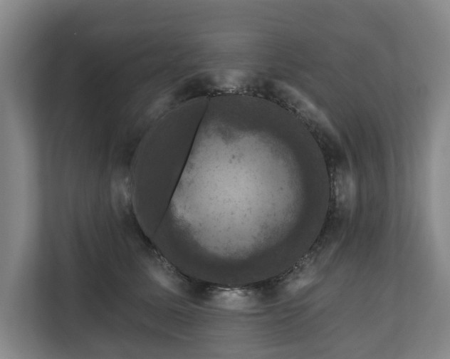 X0000111200611200907081243