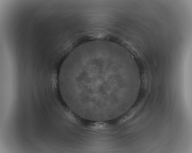 X0000111200612200907081243