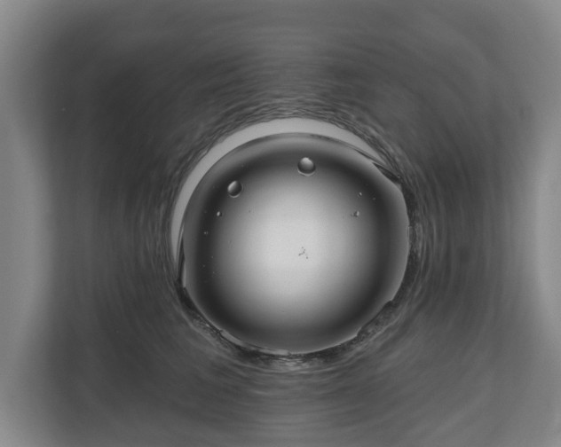 X0000111200613200907081243