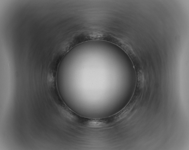 X0000111200614200907081243