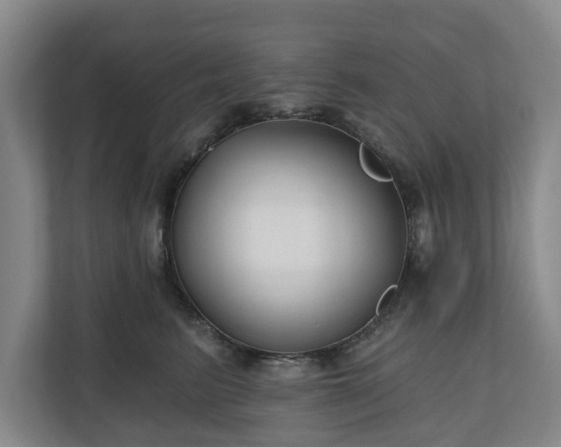 X0000111200615200907081243