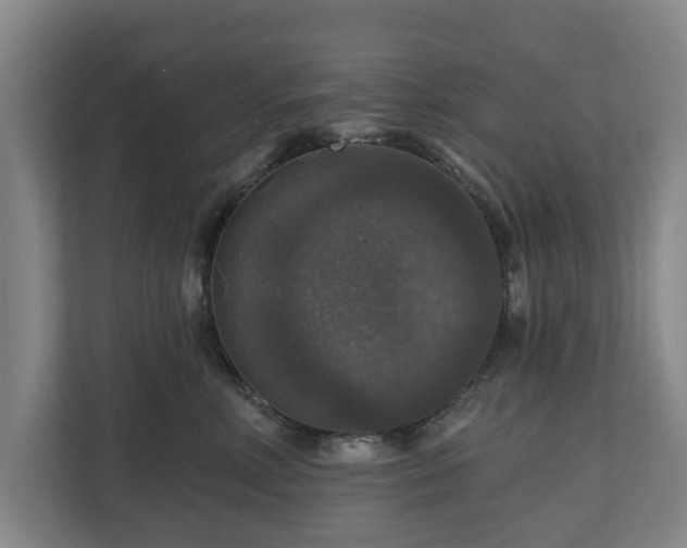 X0000111200618200907081243