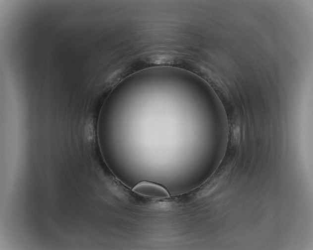 X0000111200620200907081243