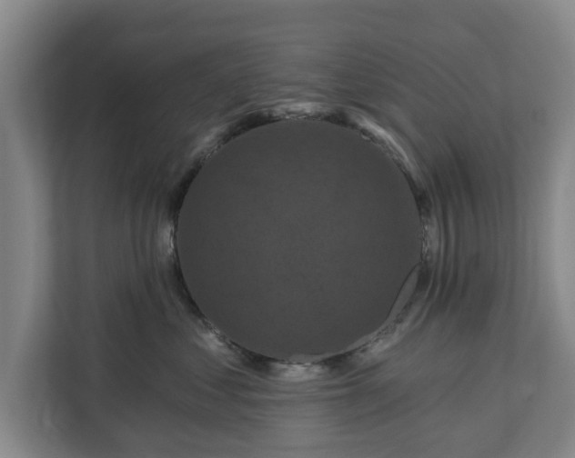 X0000111200621200907081243