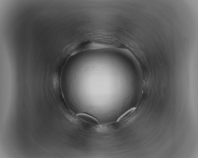 X0000111200623200907081243