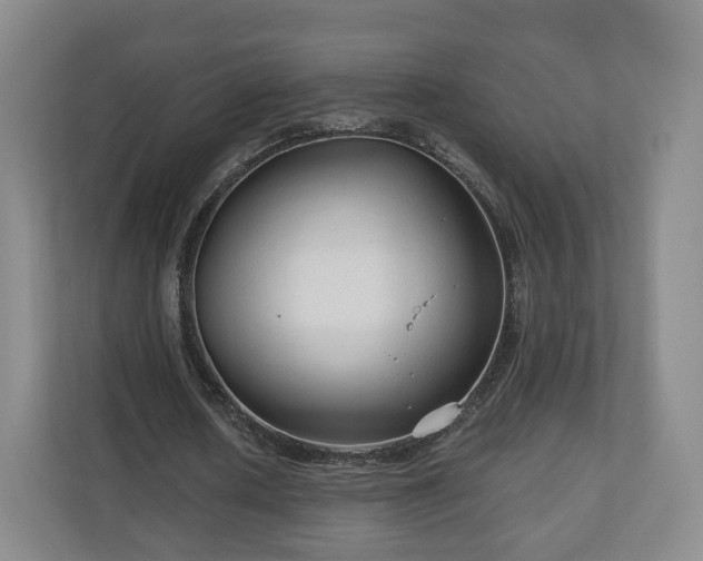 X0000111200626200907081242