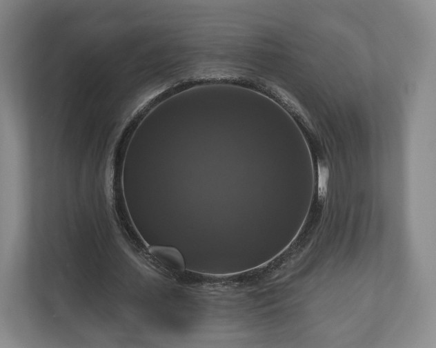 X0000111200627200907081242