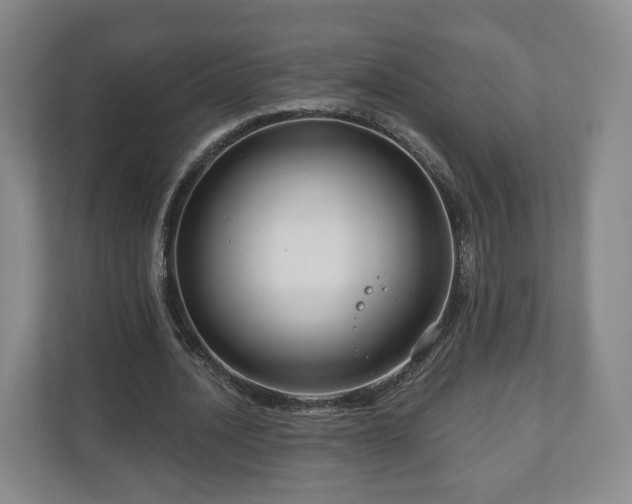 X0000111200628200907081242