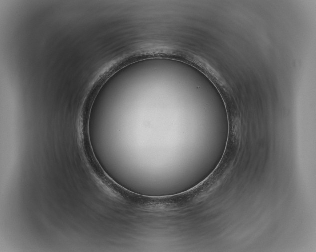 X0000111200629200907081242