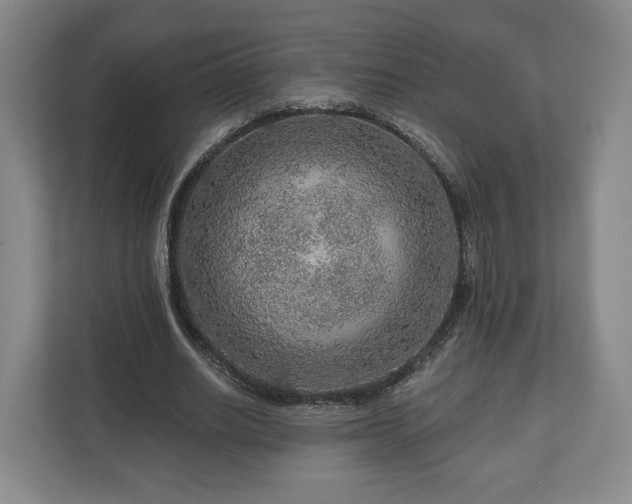 X0000111200630200907081242